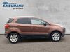 Ford EcoSport kreis|suedliche-weinstrasse