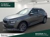Skoda Kamiq niederduerenbach