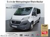 Fiat Ducato nieder-hilbersheim