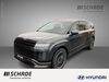 Hyundai IONIQ 9 dankmarshausen