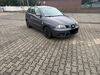 Seat Ibiza Biersdorf am See