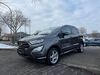 Ford EcoSport harzungen