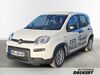Fiat Panda walhausen