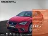 Seat Ibiza Röhrig
