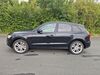 Audi Q5 hohenweiden