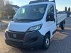 Fiat Ducato Münster-Sarmsheim