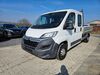 Citroen Jumper woelferbuett
