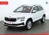 Skoda Karoq rabenau