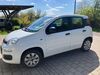 Fiat New Panda walhausen