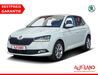 Skoda Fabia bueddenstedt