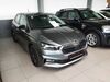 Skoda Fabia meinborn