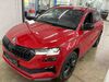 Skoda Karoq meinborn