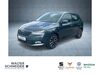 Skoda Fabia meinborn