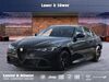 Alfa Romeo Giulia niederduerenbach