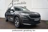 Skoda Kodiaq grafenhausen