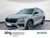 Skoda Kodiaq grafenhausen