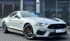 Ford Mustang Münster-Sarmsheim