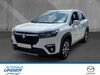 Suzuki (SX4) S-Cross Bergen (Dumme)