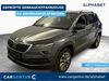 Skoda Karoq ober-hilbersheim