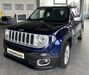 Jeep Renegade gau-odernheim