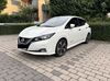 Nissan Leaf Meinborn