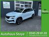 Skoda Karoq bueddenstedt