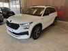 Skoda Kodiaq walhausen