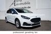 Ford S-Max grafenhausen