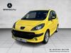 Peugeot 1007 enzkloesterle