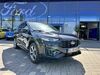 Ford Kuga schoenburg
