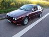 Alfa Romeo GTV Enzklösterle