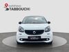 Smart ForFour meissen