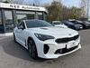 Kia Stinger kuehbach