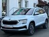 Skoda Karoq dankmarshausen