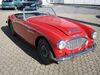 Austin Healey Andere irrhausen