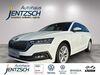 Skoda Octavia kreis|tuebingen
