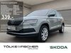 Skoda Karoq niederduerenbach