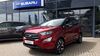 Ford EcoSport rabenau