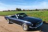 Ford Mustang bl|nordrhein-westfalen