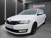 Skoda Rapid pouch