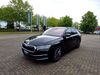 Skoda Octavia schoena-kolpien
