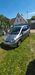 Honda Jazz sippersfeld