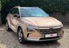 Hyundai NEXO dankmarshausen