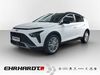 Hyundai BAYON schwallungen