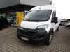 Opel Movano hornburg