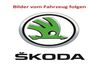 Skoda Kamiq thalhausen