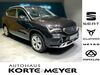 Seat Ateca wunstorf