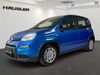 Fiat Panda geisenfeld