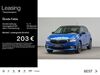 Skoda Fabia gau-odernheim