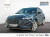 Ford Kuga bueddenstedt